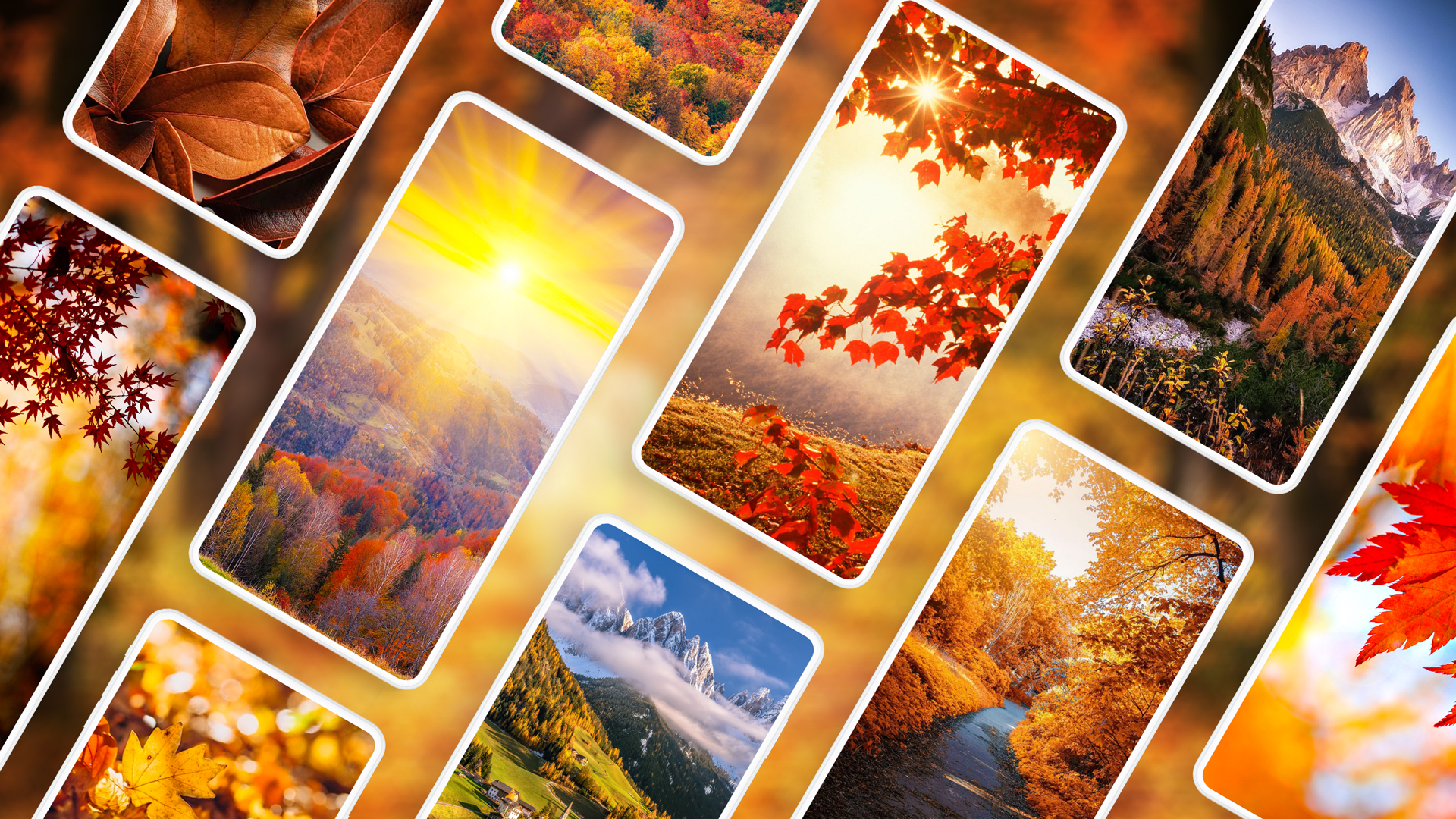 اسکرین شات 1 برنامه Autumn Wallpapers 4K