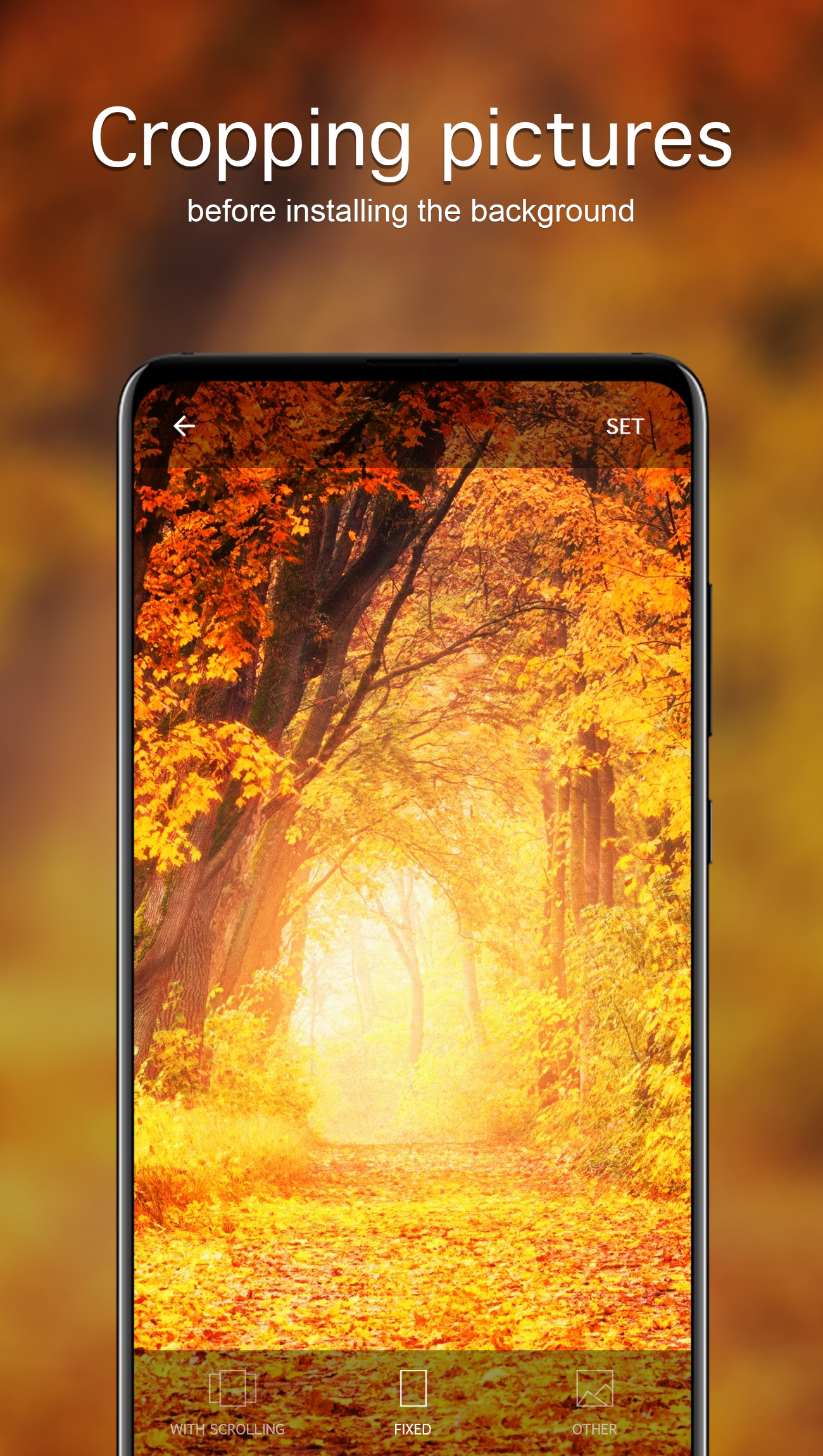 اسکرین شات 4 برنامه Autumn Wallpapers 4K