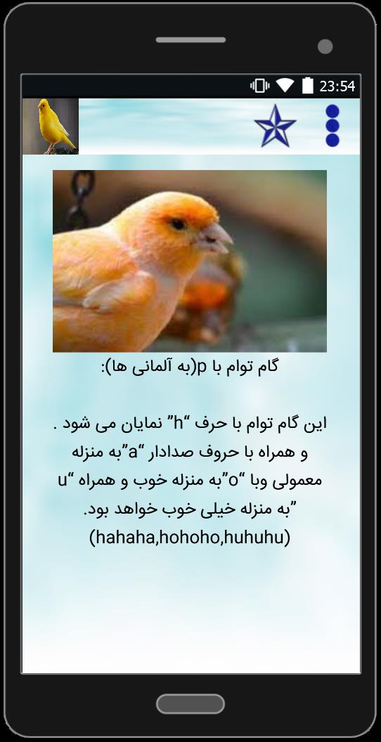 اسکرین شات 4 برنامه آموزش آواز قناری (صوتی)