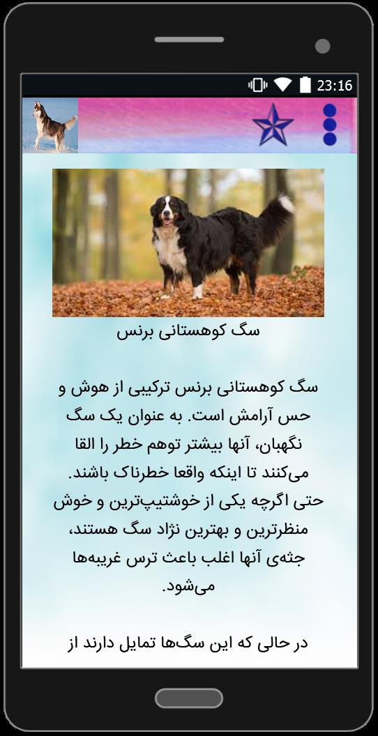 اسکرین شات 4 برنامه آشنایی با نژاد سگ ها
