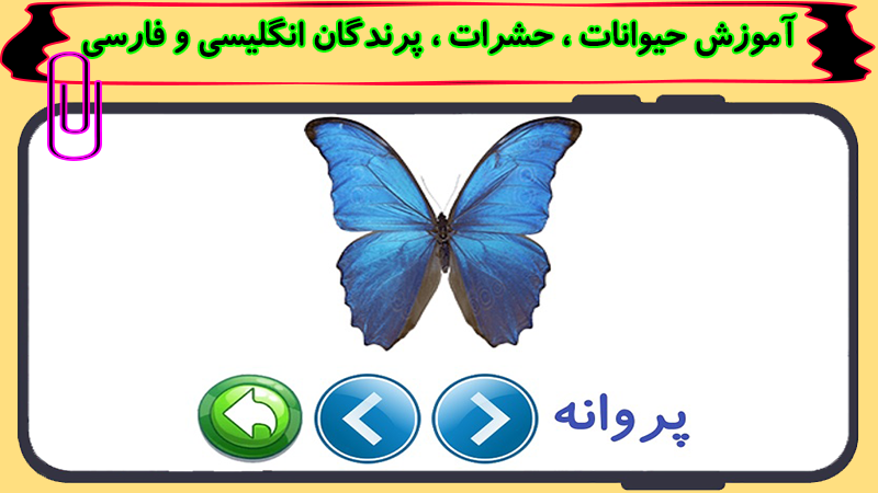 اسکرین شات 12 برنامه حسنی نگو بلا بگو