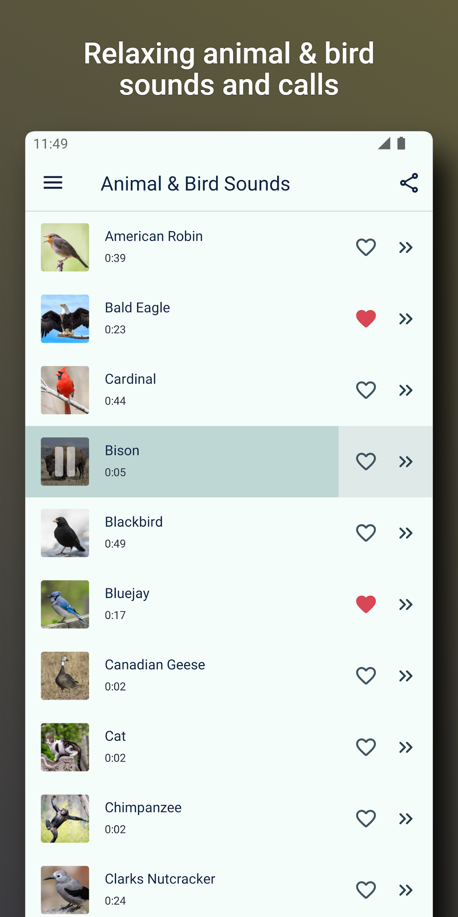 اسکرین شات 1 برنامه Bird and Animal sounds