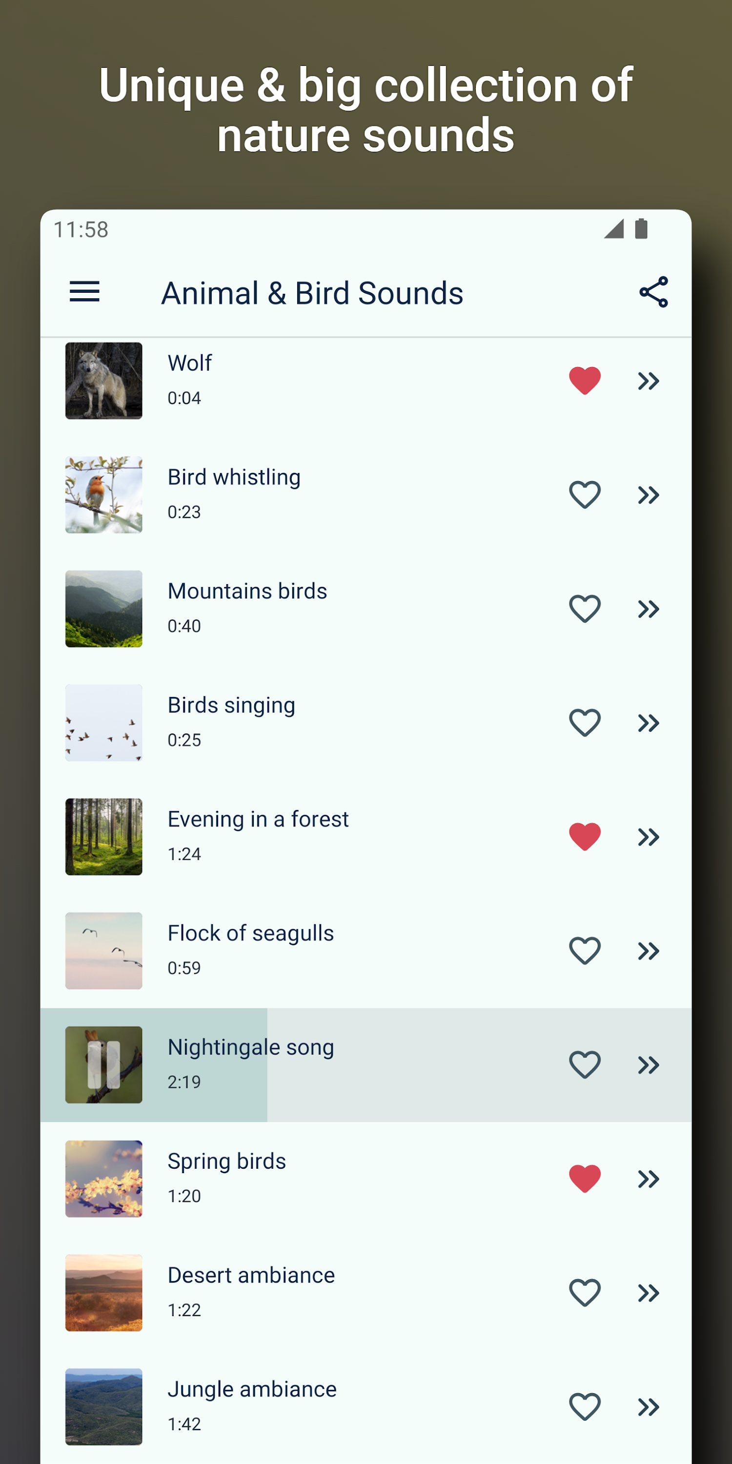 اسکرین شات 2 برنامه Bird and Animal sounds