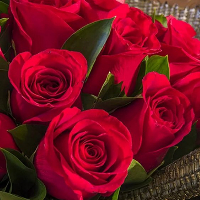 اسکرین شات 4 برنامه Beautiful Flowers & Roses Pics