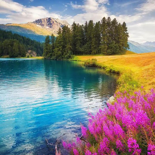 اسکرین شات 8 بازی Landscape Puzzle Jigsaw