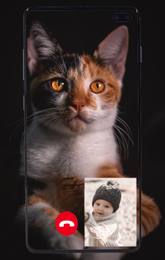 اسکرین شات 2 برنامه Cat Fake Video Call prank