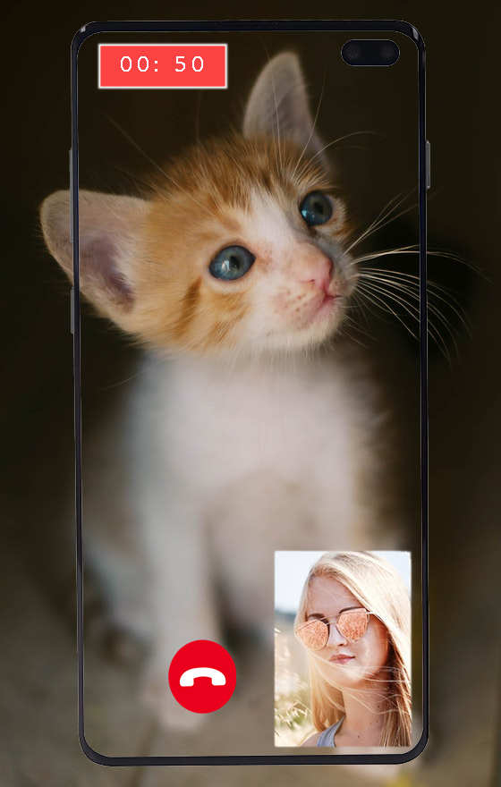 اسکرین شات 3 برنامه Cat Fake Video Call prank