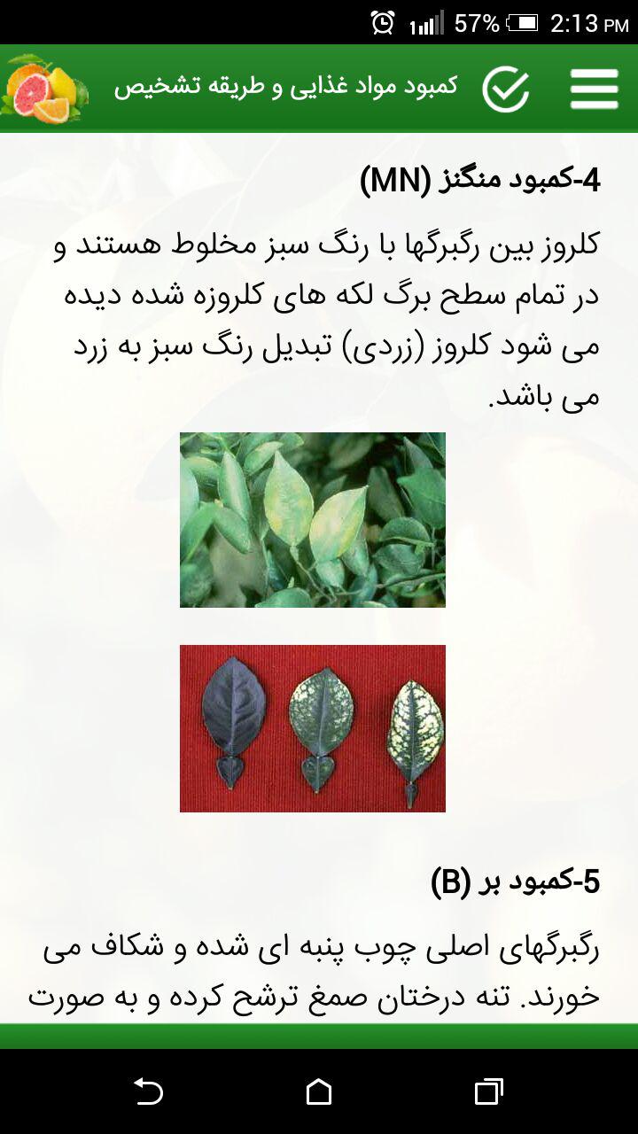 اسکرین شات 4 برنامه دانشنامه پرورش مرکبات