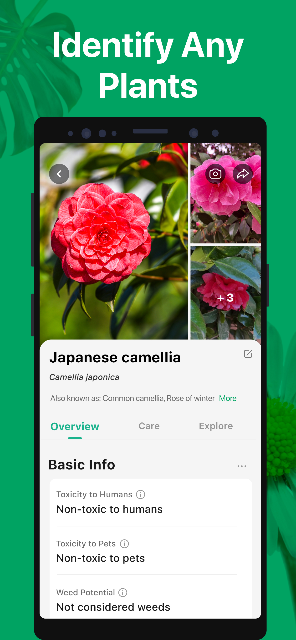 اسکرین شات 2 برنامه PictureThis - Plant Identifier