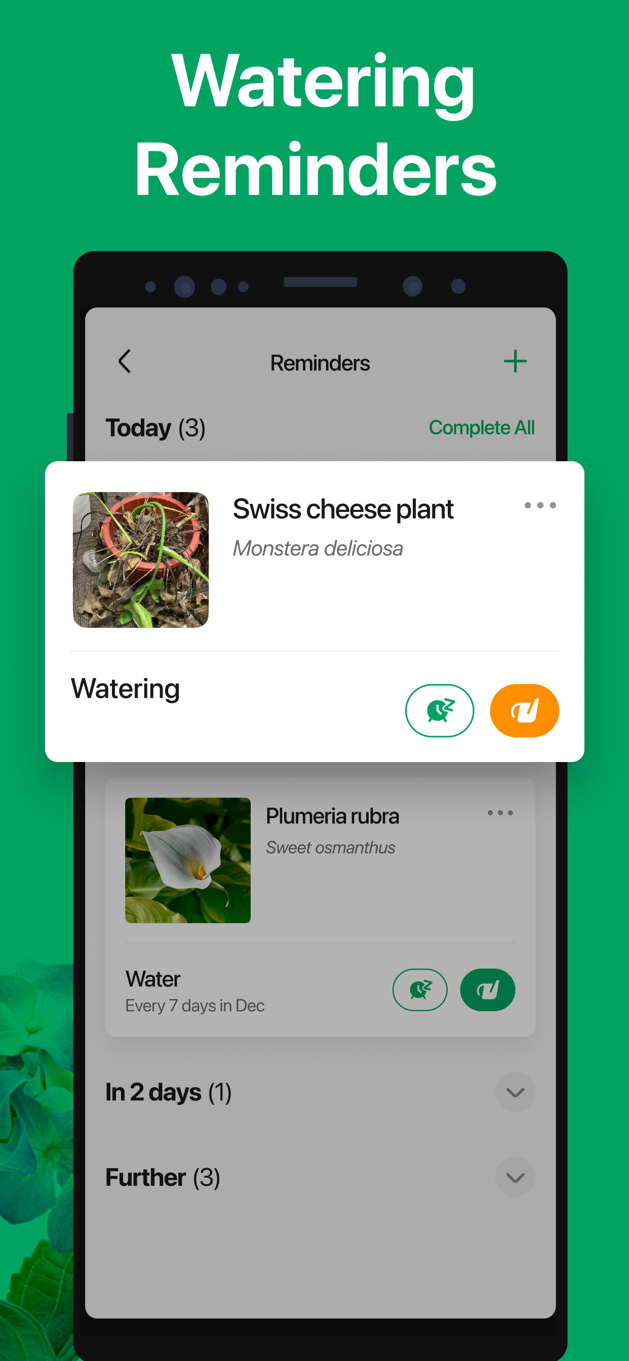 اسکرین شات 5 برنامه PictureThis - Plant Identifier