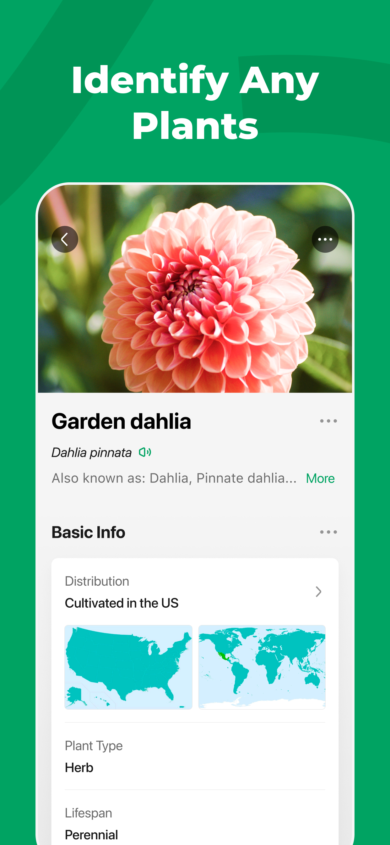 اسکرین شات 2 برنامه PictureThis - Plant Identifier