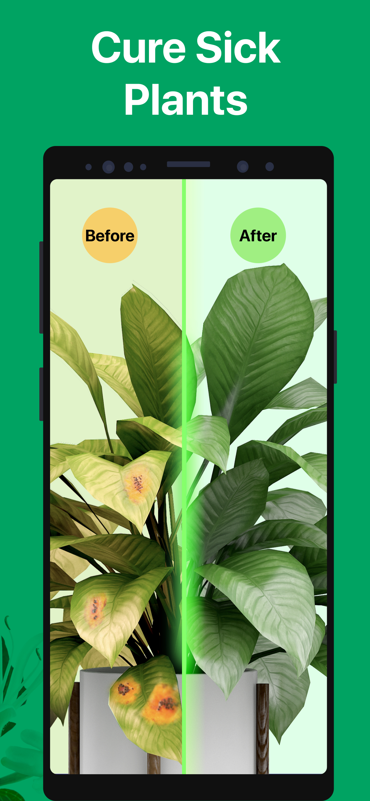 اسکرین شات 7 برنامه PictureThis - Plant Identifier