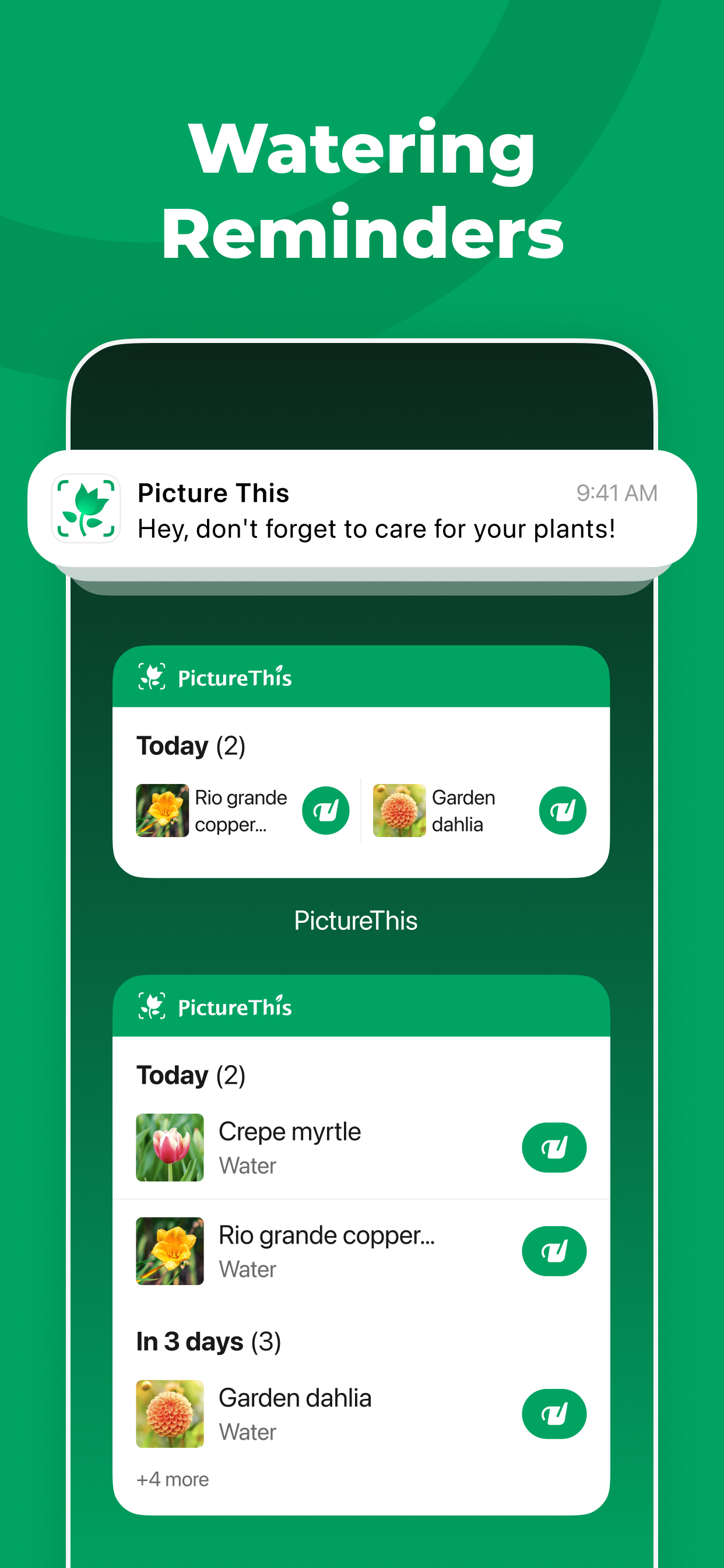 اسکرین شات 6 برنامه PictureThis - Plant Identifier