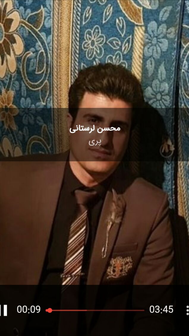اسکرین شات 4 برنامه ترانه های محسن لرستانی (کردی و لکی)