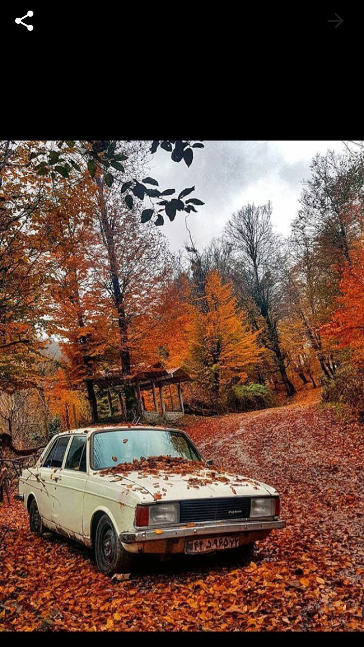 اسکرین شات 4 برنامه والپیپر و پروفایل پیکان