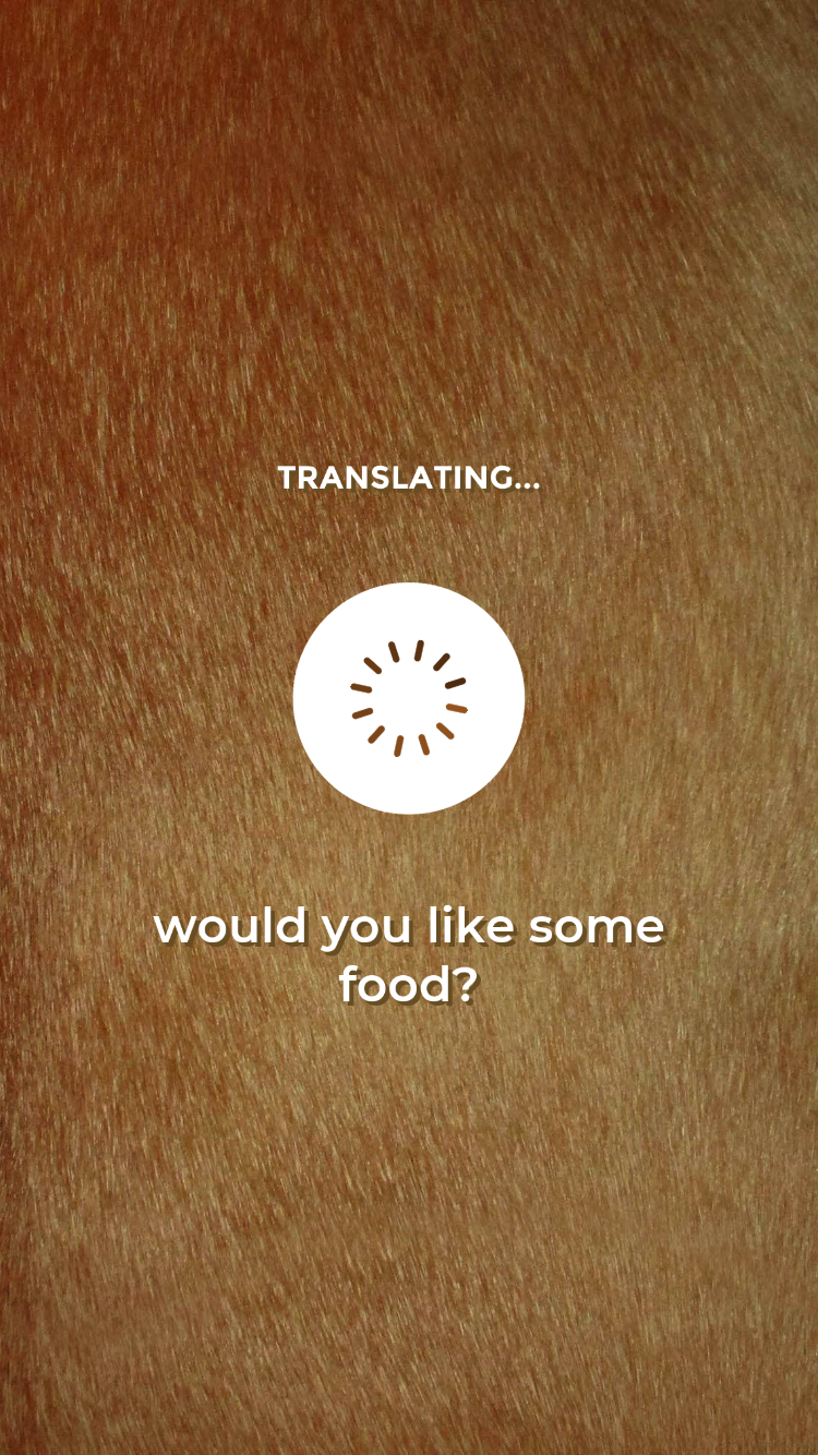 اسکرین شات 2 برنامه Human to Dog Translator Sim