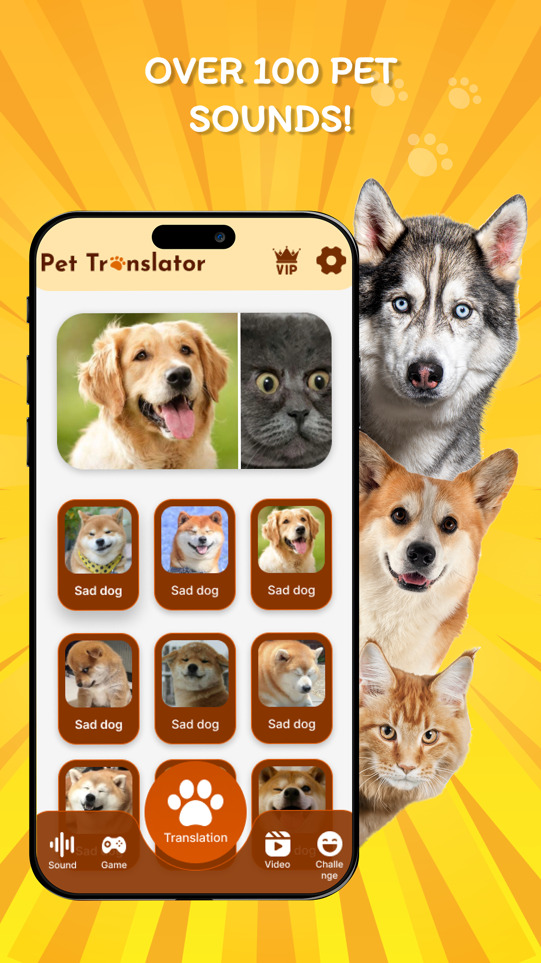 اسکرین شات 4 برنامه Human To Dog: Pet Translator