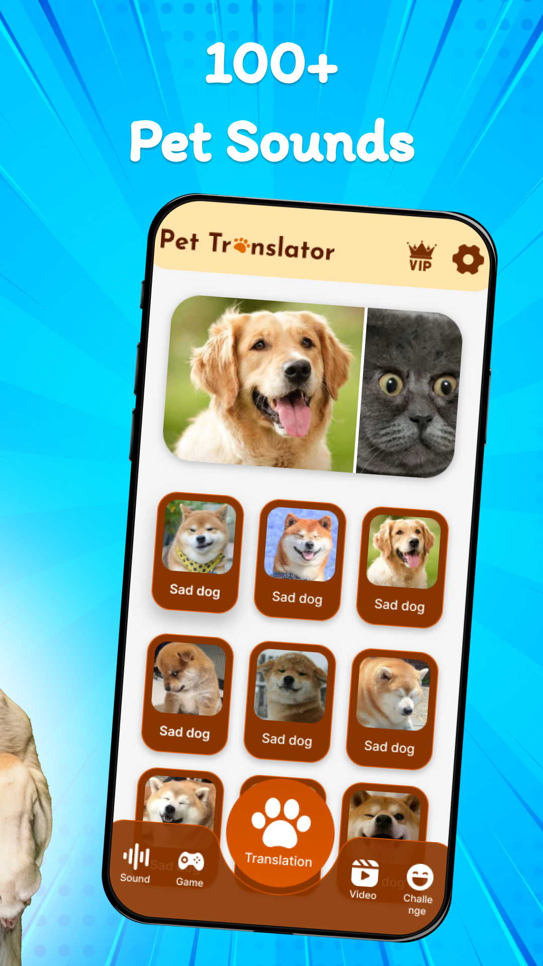 اسکرین شات 2 برنامه Human To Dog: Pet Translator