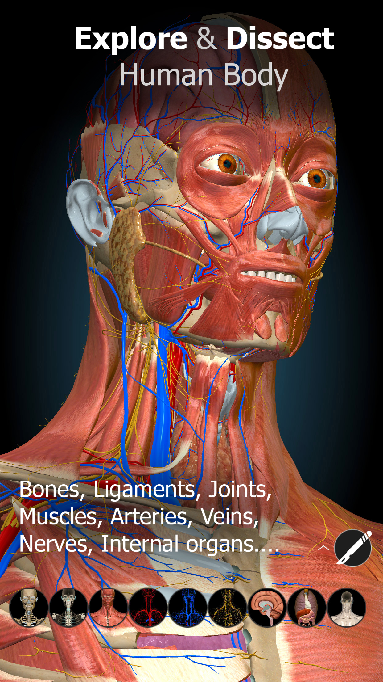 اسکرین شات 1 برنامه Anatomy Learning - 3D Anatomy