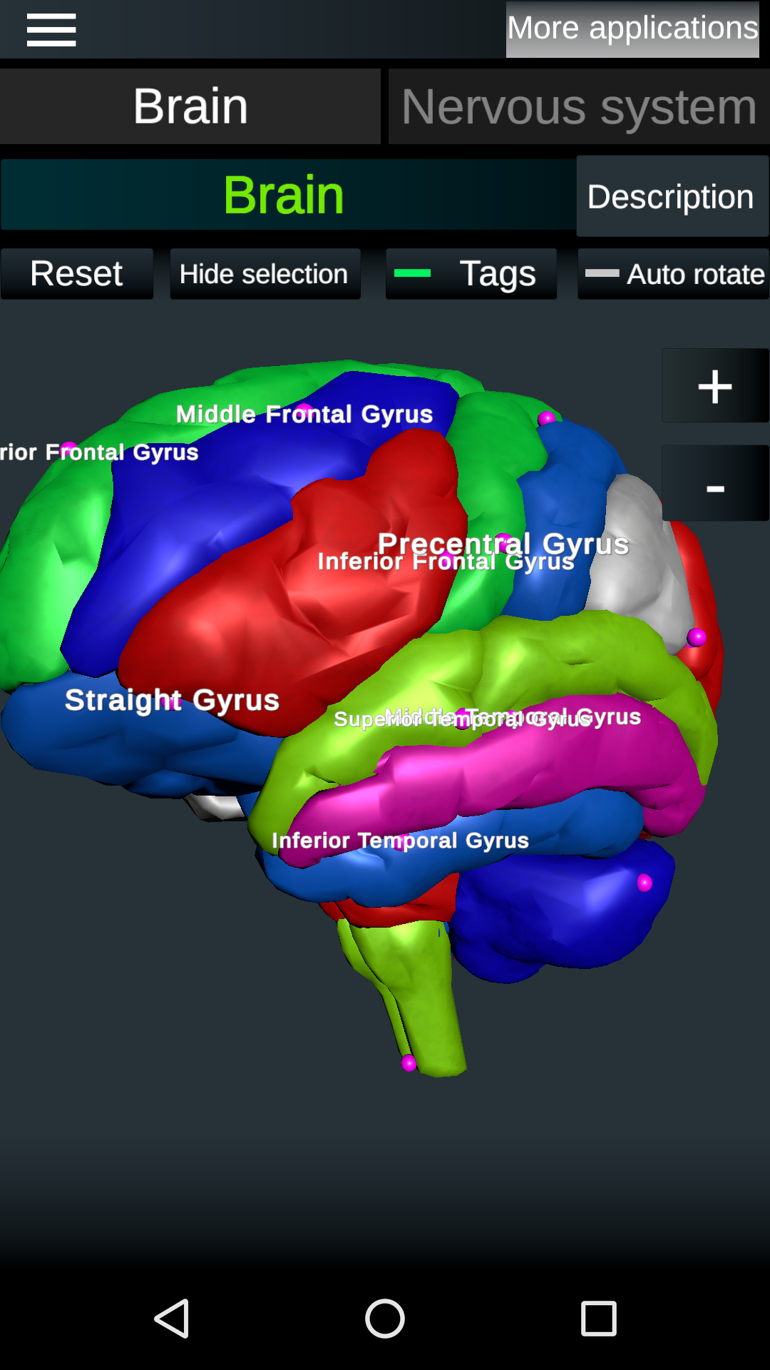 اسکرین شات 1 برنامه Brain and Nervous System 3D