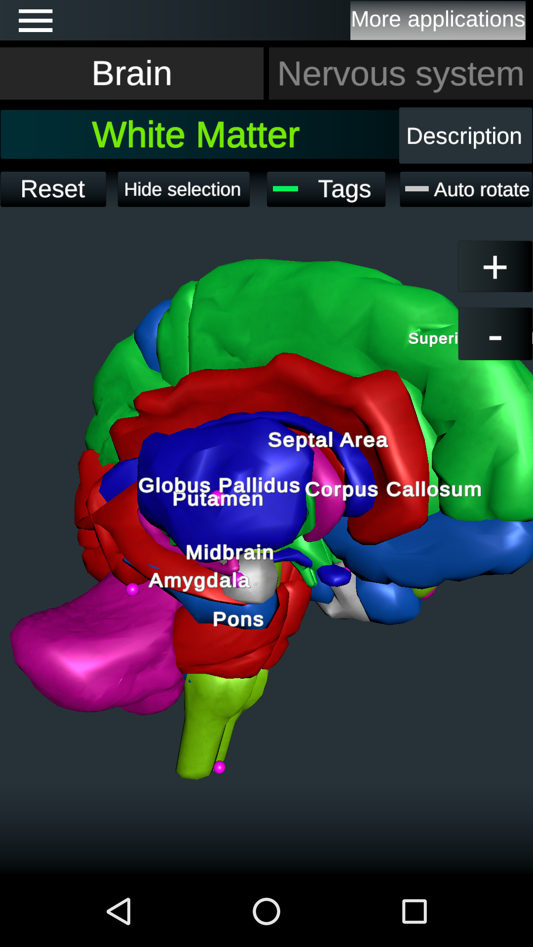 اسکرین شات 5 برنامه Brain and Nervous System 3D