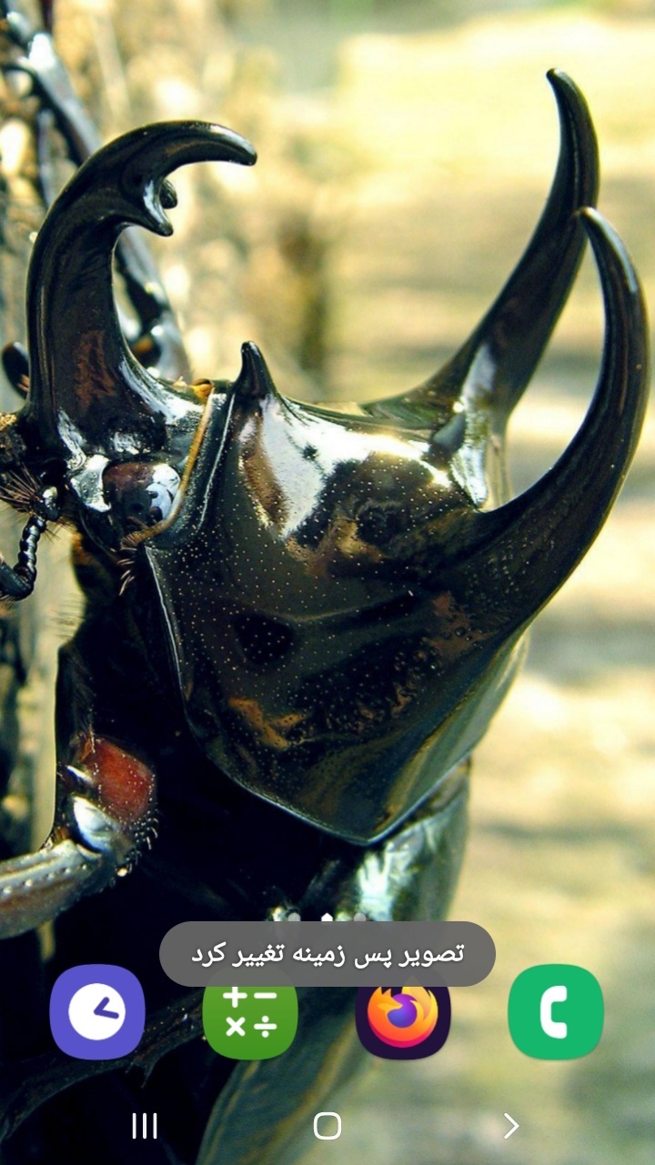 اسکرین شات 4 برنامه حشرات زیبا (تصویر زمینه)