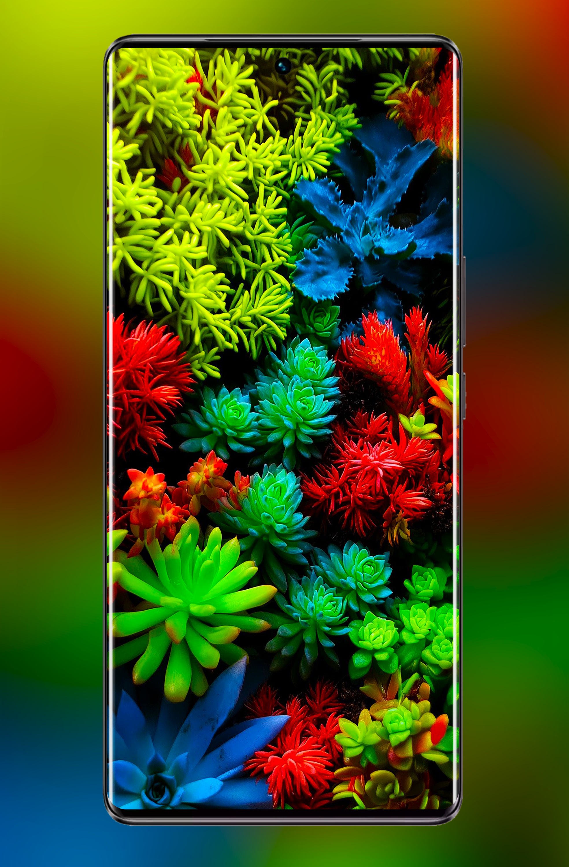اسکرین شات 5 برنامه Vivo V50 Pro 5G Wallpaper