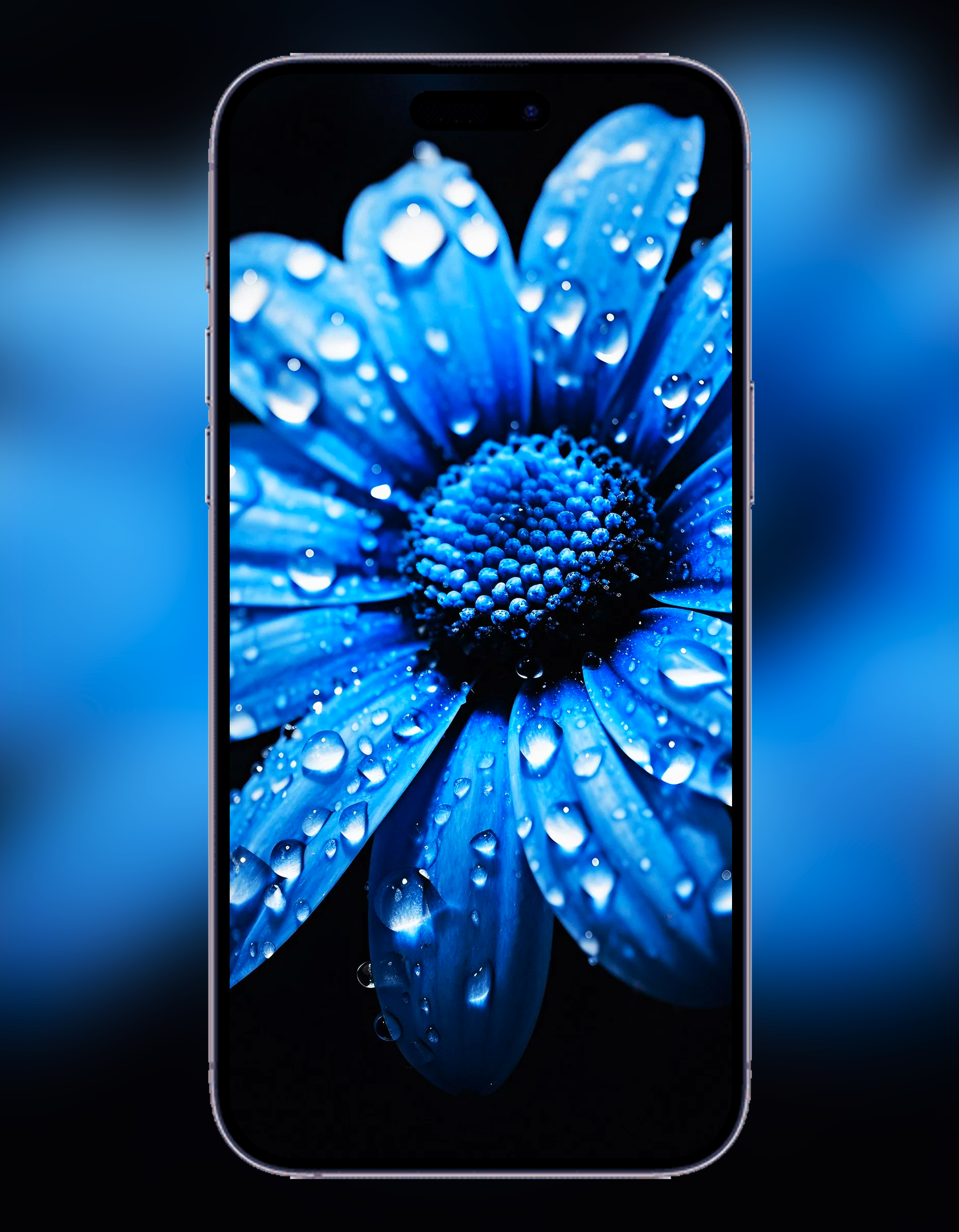 اسکرین شات 7 برنامه iPhone 14 Pro Max Wallpaper