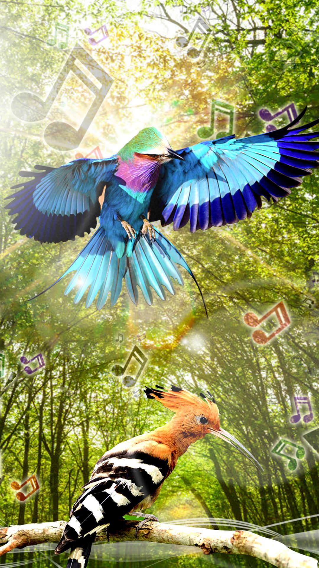 اسکرین شات 7 برنامه Birds Sounds Ringtone