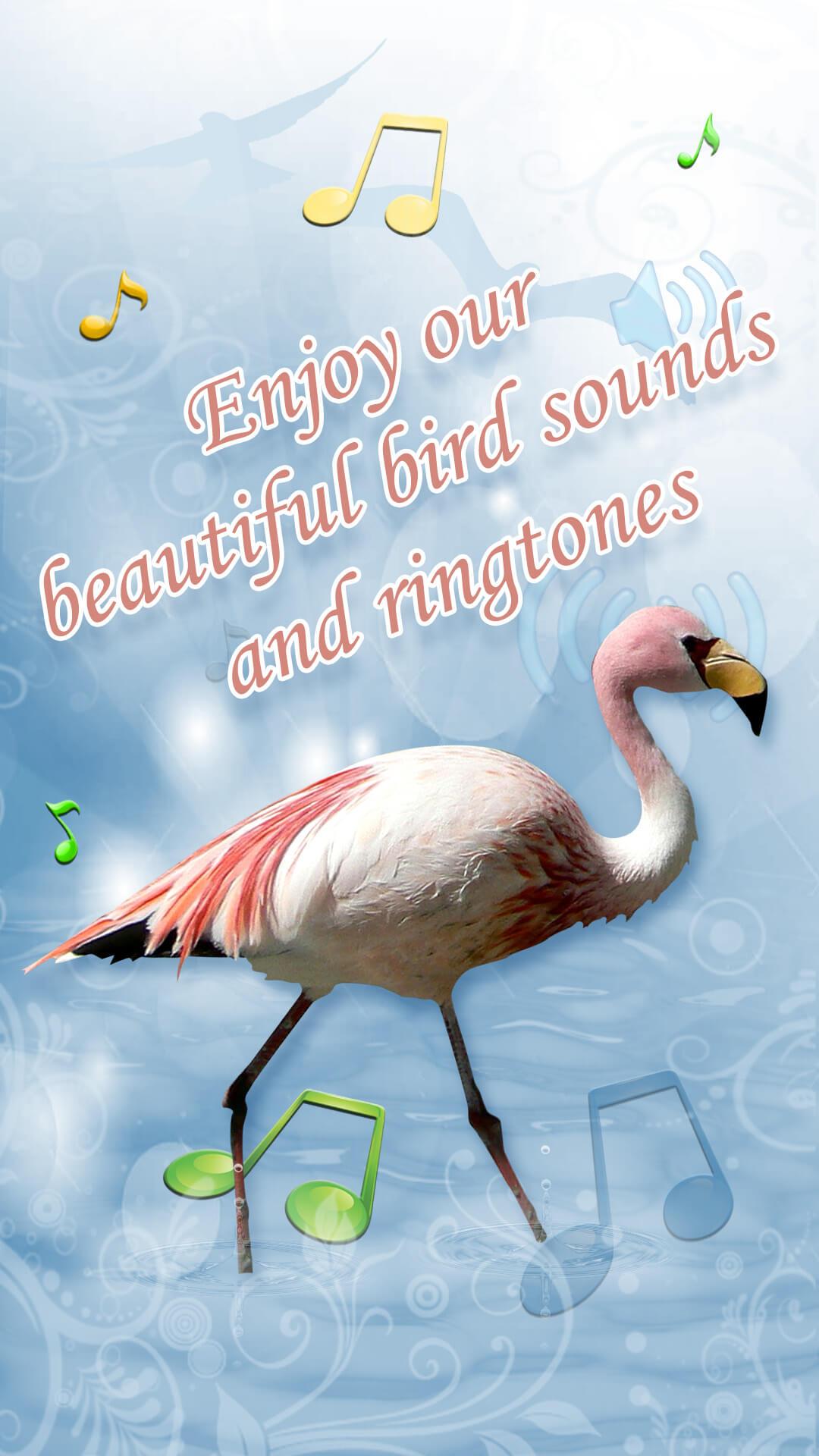 اسکرین شات 6 برنامه Birds Sounds Ringtone