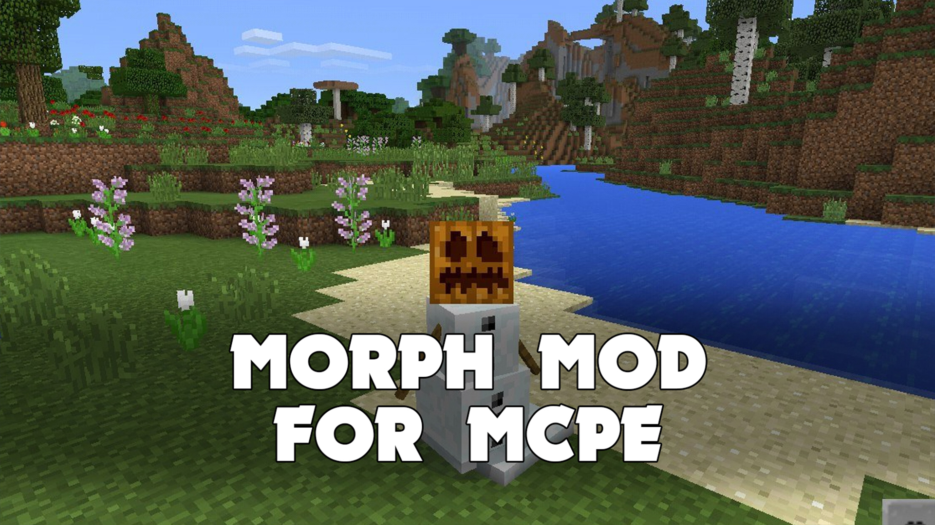 اسکرین شات 4 برنامه Morph Mod for Minecraft PE