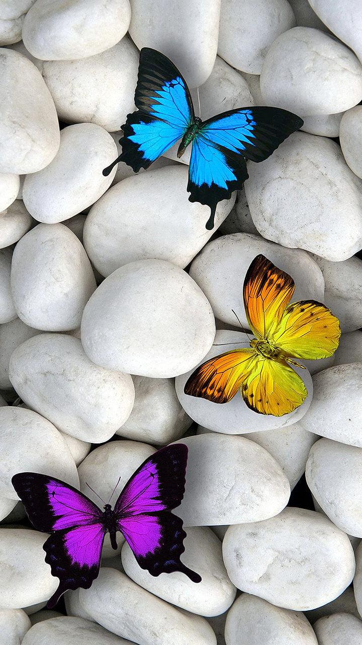 اسکرین شات 2 برنامه Butterfly Live Wallpaper