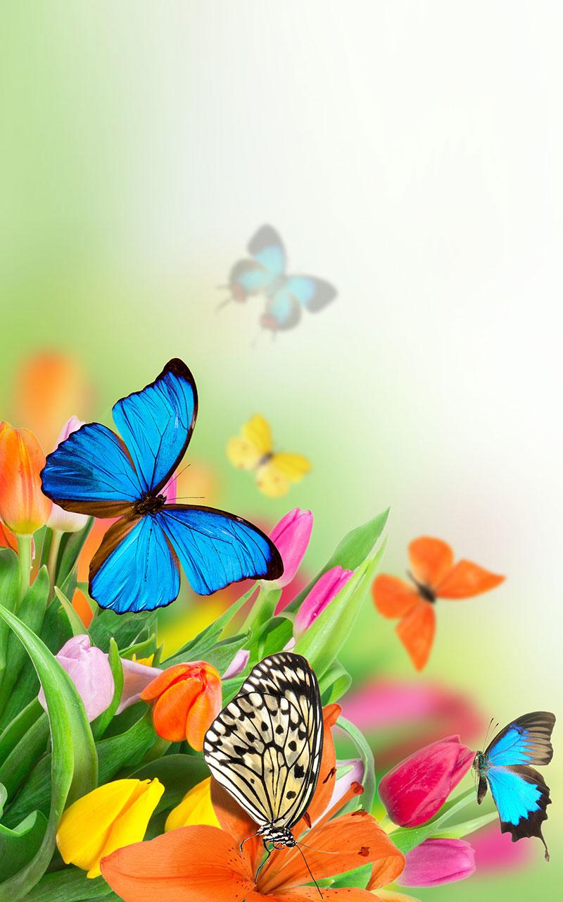 اسکرین شات 3 برنامه Butterfly Live Wallpaper