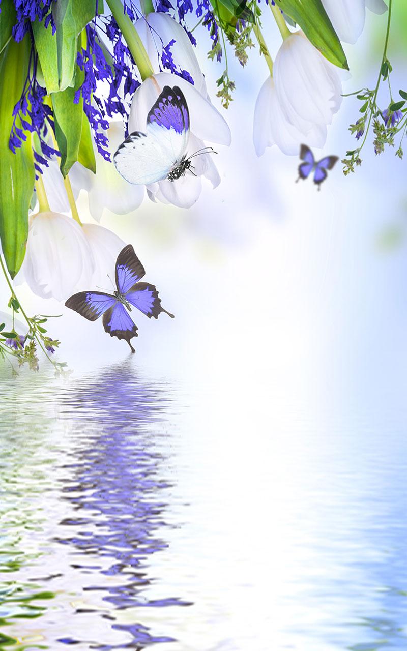 اسکرین شات 1 برنامه Butterfly Live Wallpaper