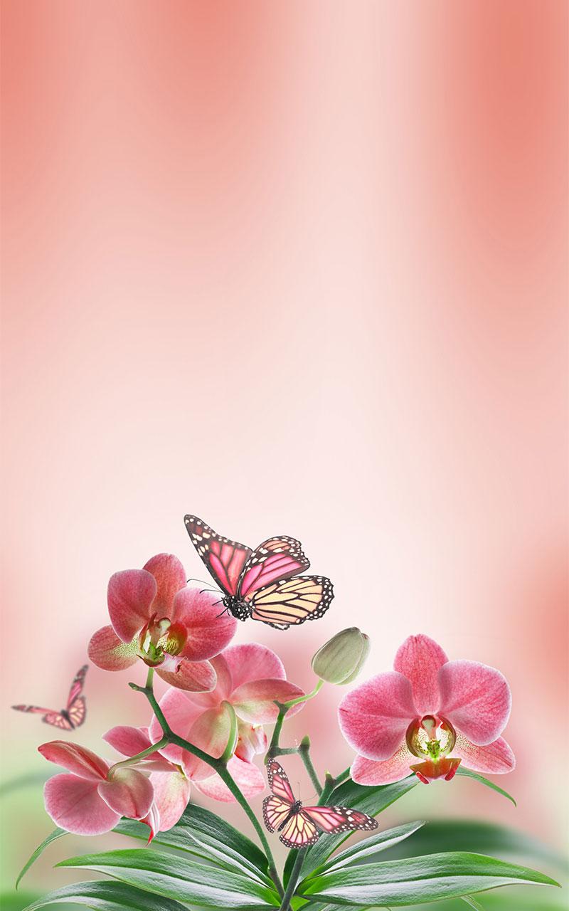 اسکرین شات 5 برنامه Butterfly Live Wallpaper