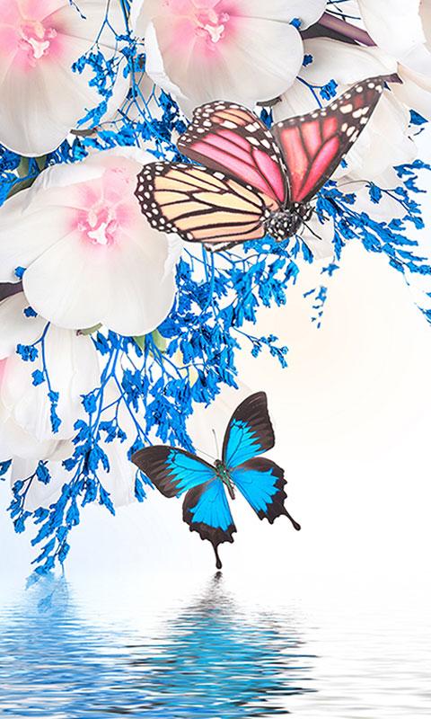 اسکرین شات 6 برنامه Butterfly Live Wallpaper