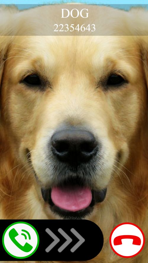 اسکرین شات 1 بازی fake call dog game