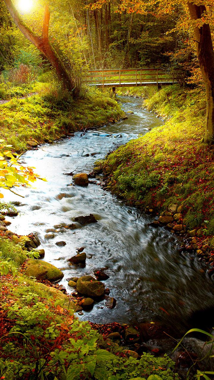 اسکرین شات 5 برنامه Forest Live Wallpaper