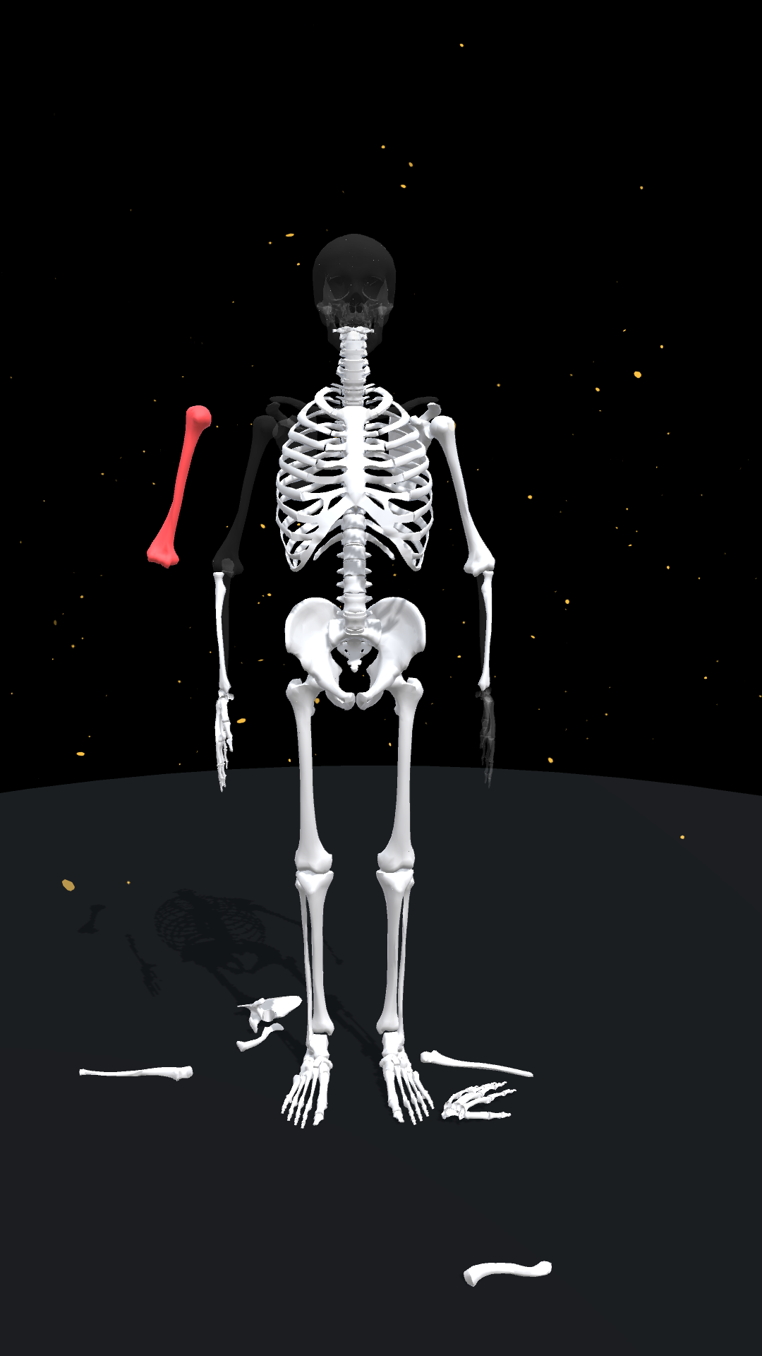 اسکرین شات 1 بازی Assemble Skeleton