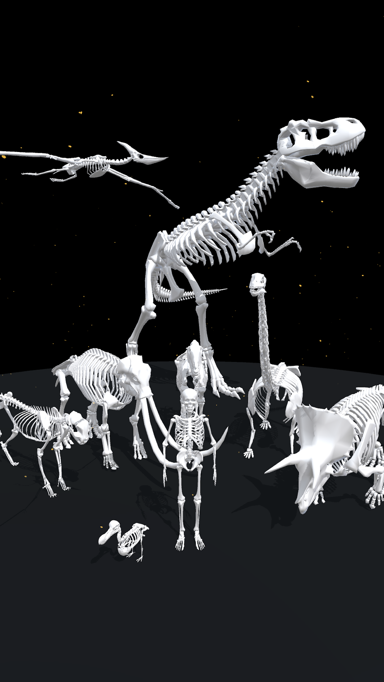 اسکرین شات 2 بازی Assemble Skeleton