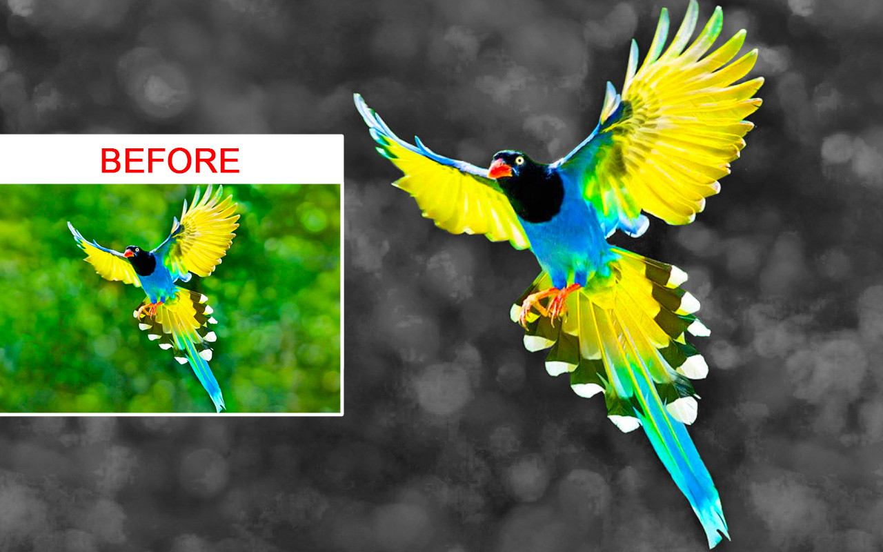 اسکرین شات 4 برنامه Blur photo color splash effect