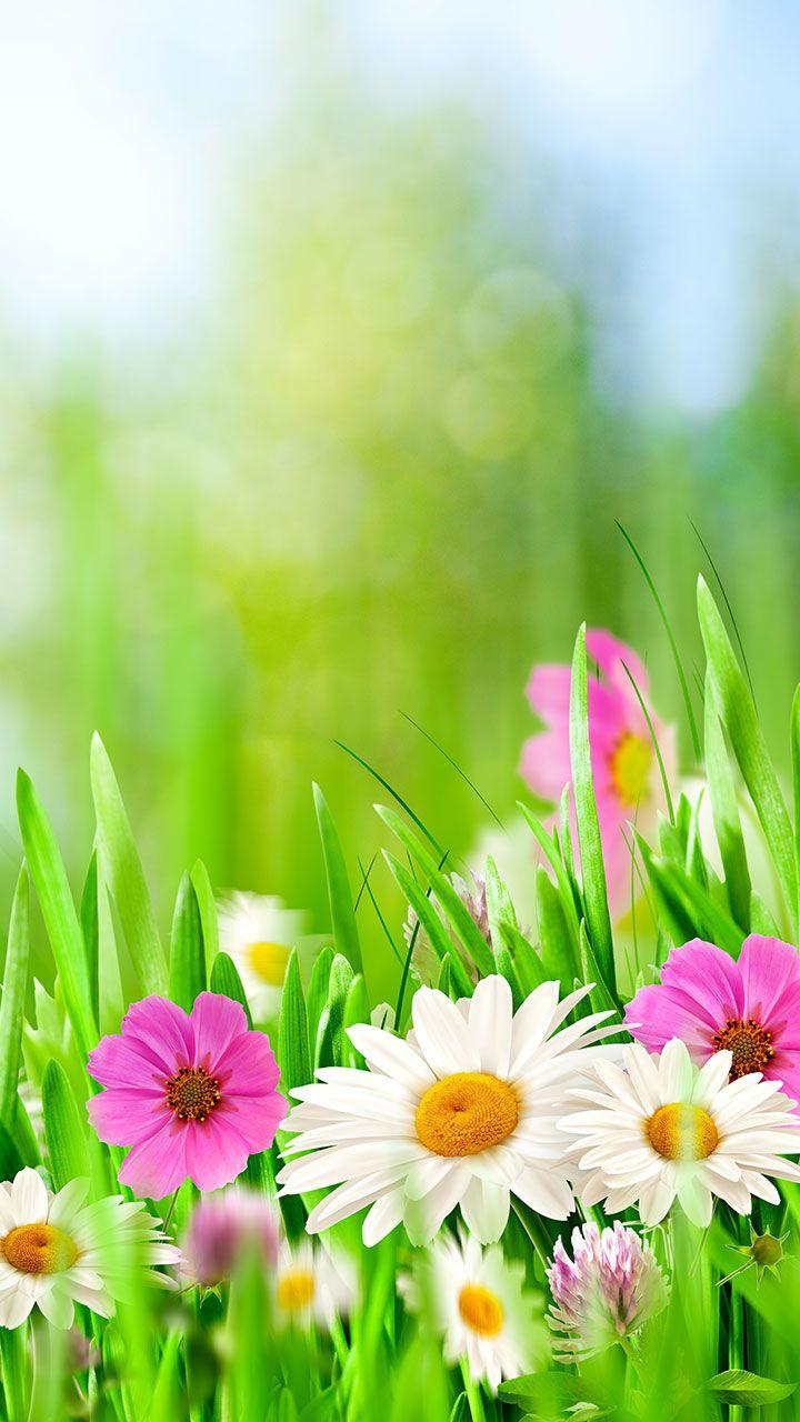 اسکرین شات 5 برنامه Green Spring Live Wallpaper