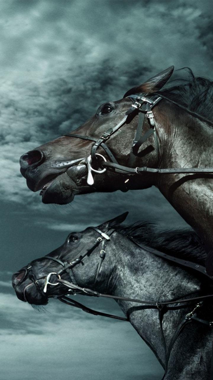 اسکرین شات 5 برنامه Horse Pictures Live Wallpaper