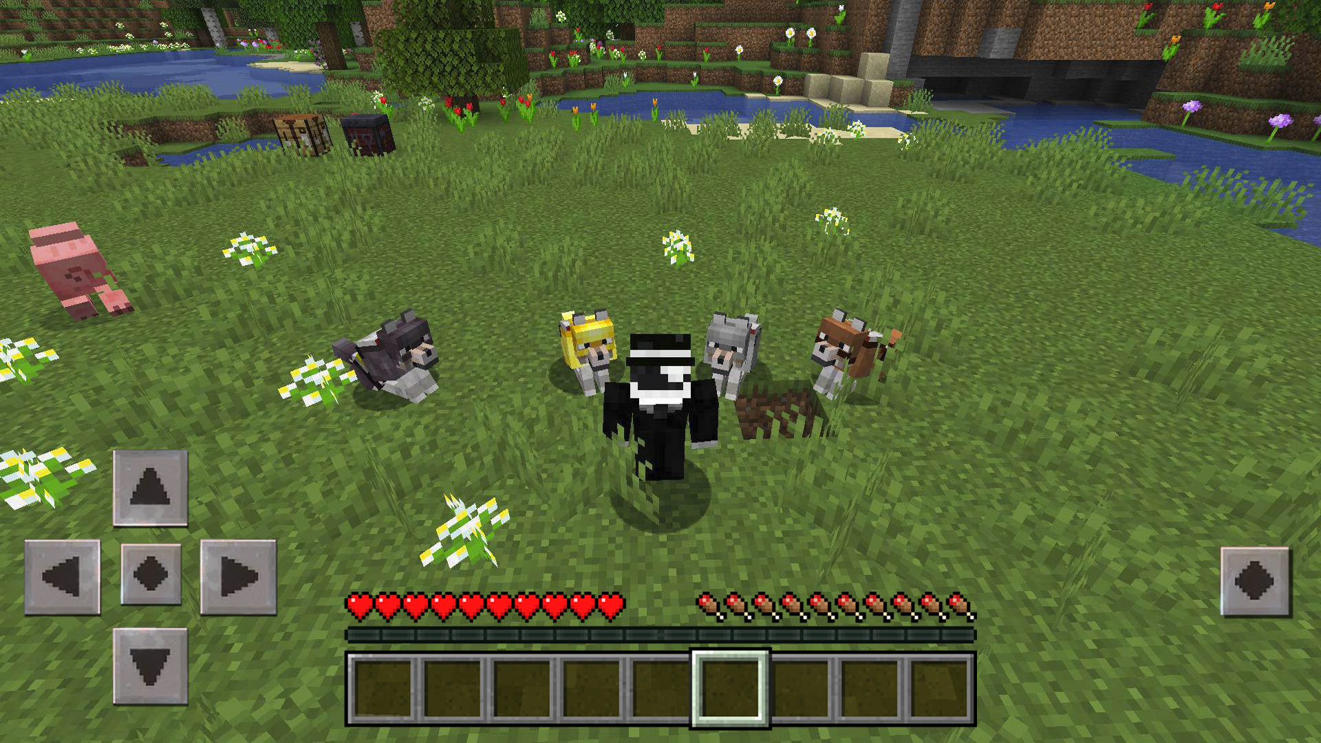 اسکرین شات 7 برنامه Wolf Armor Mod for Minecraft