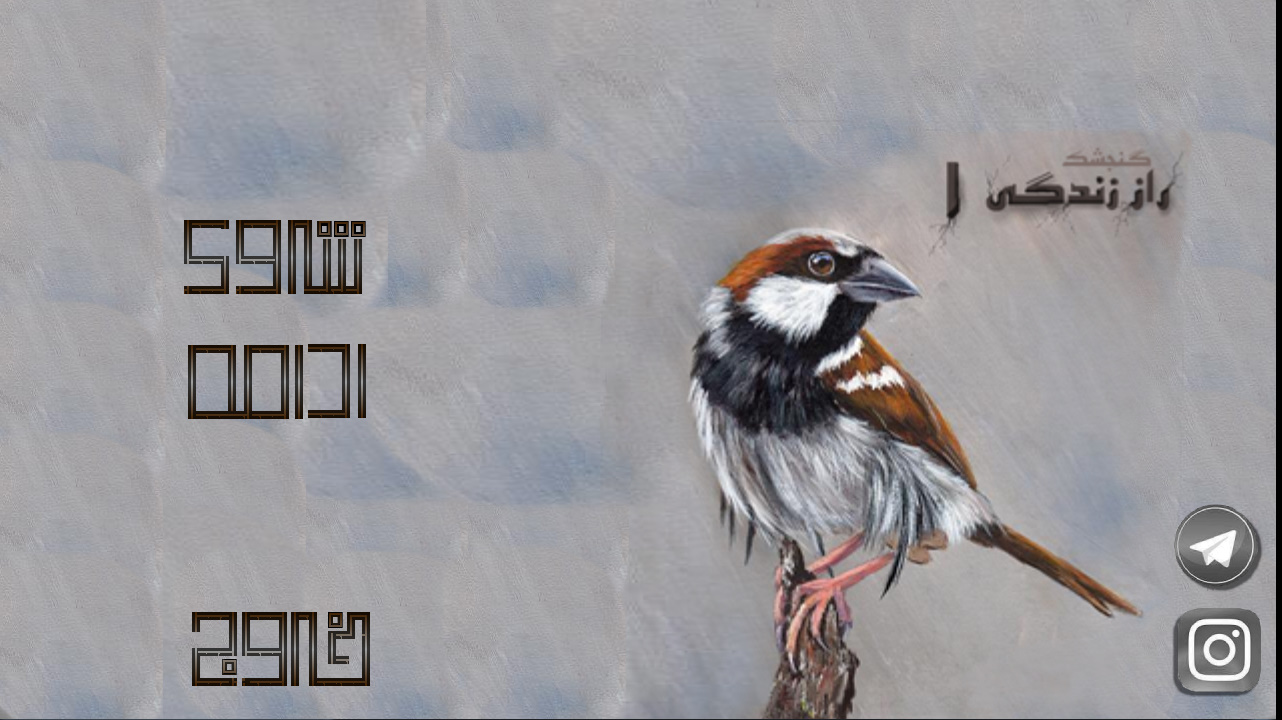 اسکرین شات 4 بازی راز زندگی ۱