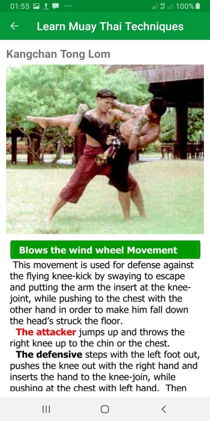 اسکرین شات 3 برنامه Muay Thai MMA Techniques