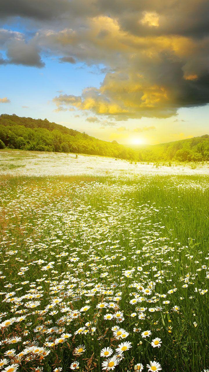اسکرین شات 2 برنامه Perfect Sunset Live Wallpaper