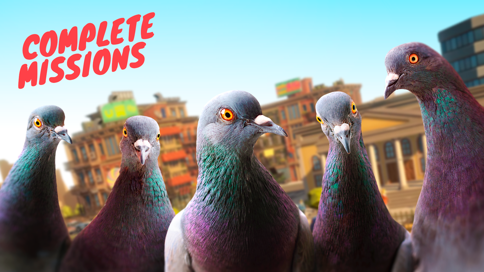اسکرین شات 4 بازی Pigeon