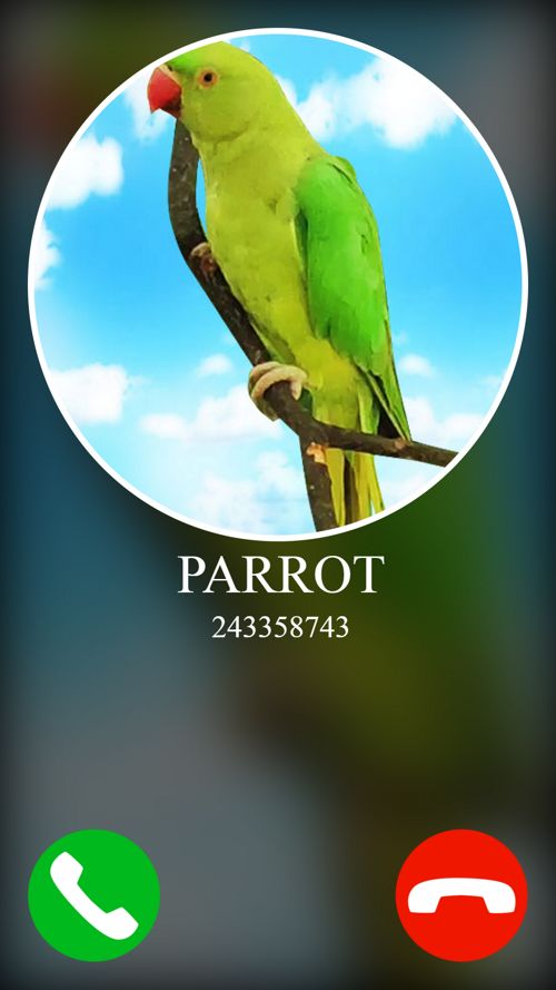 اسکرین شات 1 بازی fake incoming call pet game