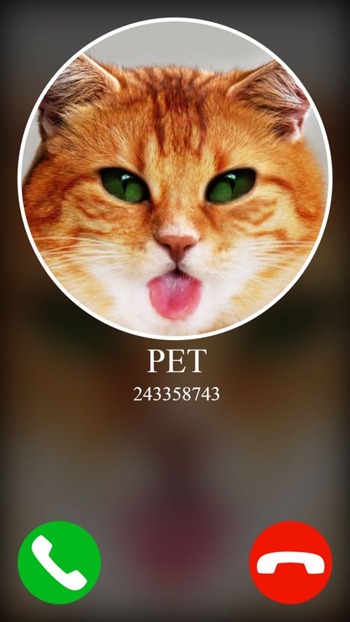 اسکرین شات 3 بازی fake incoming call pet game